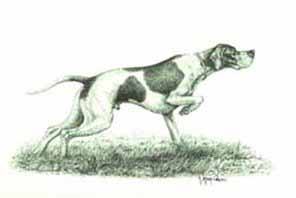 POINTER